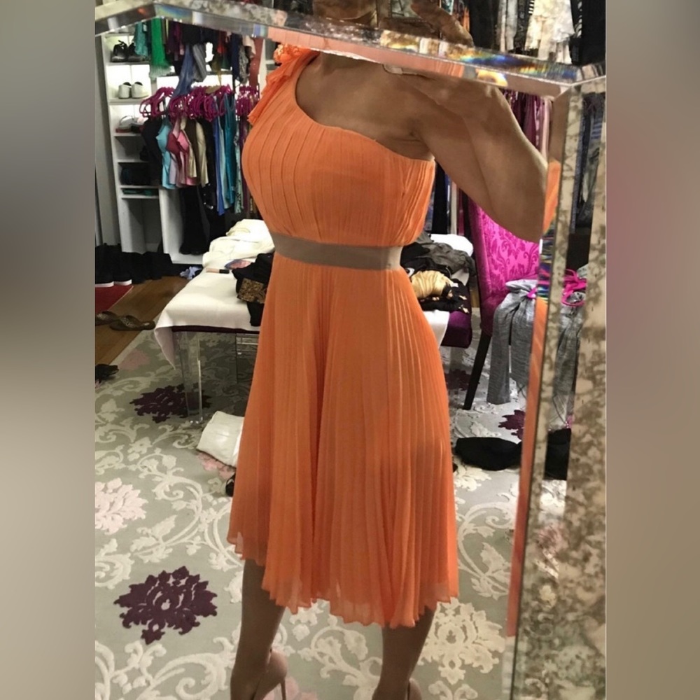 BCBG Maxazria Dress